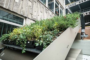 ...with greenery supplied by plant boxes to be retrofitted to the steelwork