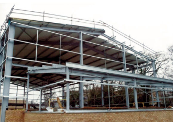 Single-storey Steel Framed Buildings in Fire Boundary Conditions