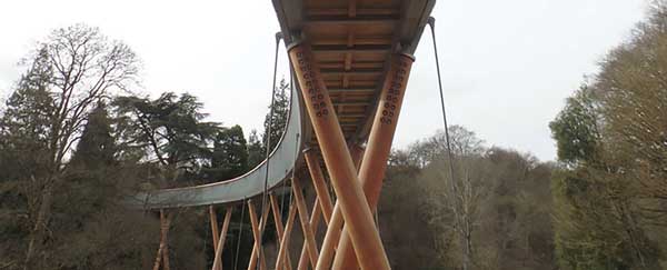 Westonbirt canopy walkway opens to visitors