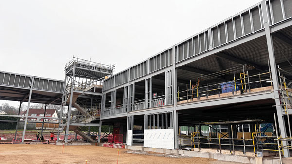Reduced carbon steel solution